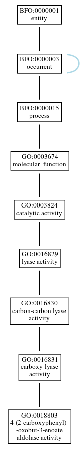 Graph of GO:0018803