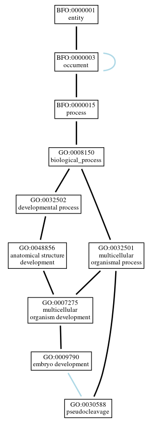 Graph of GO:0030588