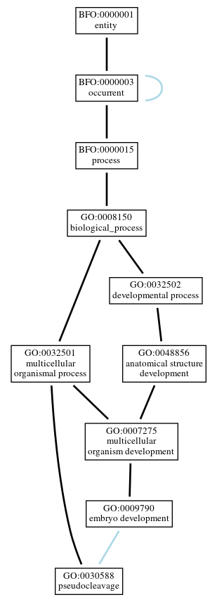 Graph of GO:0030588