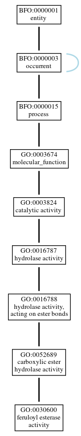 Graph of GO:0030600