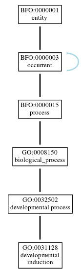 Graph of GO:0031128