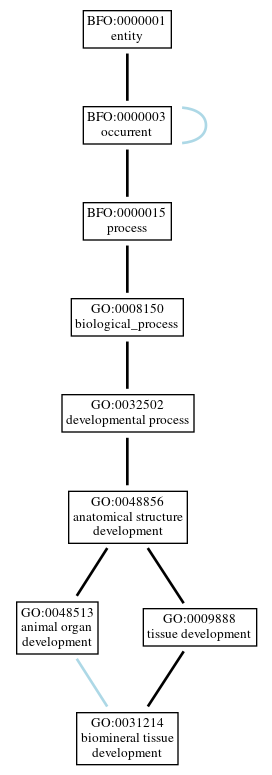 Graph of GO:0031214