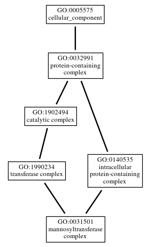 Graph of GO:0031501