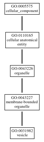Graph of GO:0031982