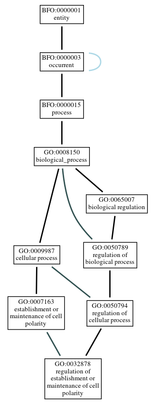 Graph of GO:0032878