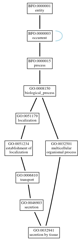 Graph of GO:0032941