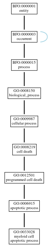 Graph of GO:0033028