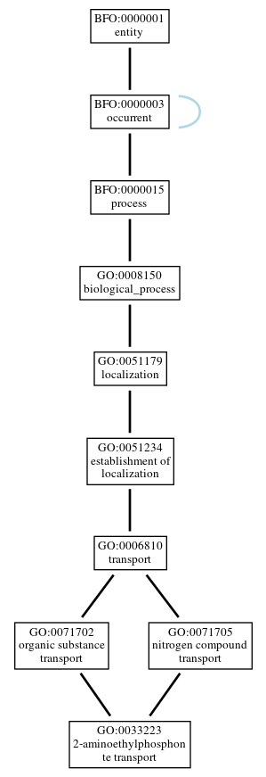 Graph of GO:0033223