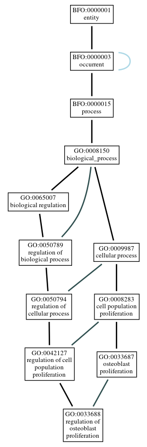 Graph of GO:0033688