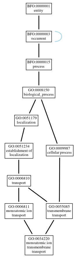 Graph of GO:0034220