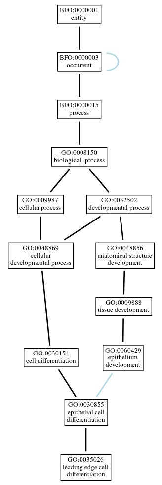 Graph of GO:0035026