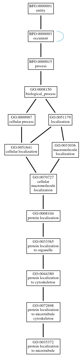 Graph of GO:0035372
