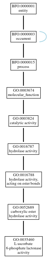 Graph of GO:0035460