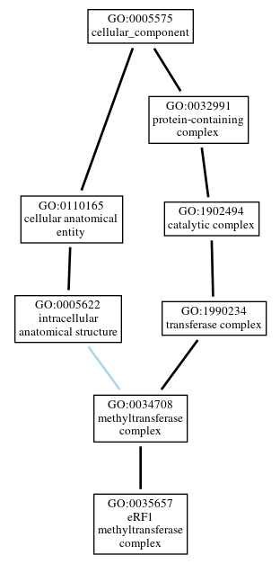 Graph of GO:0035657