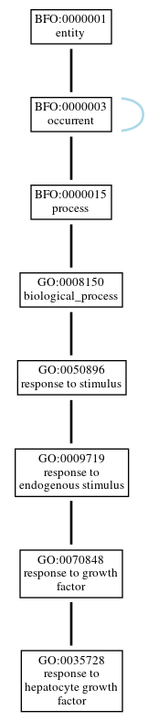 Graph of GO:0035728