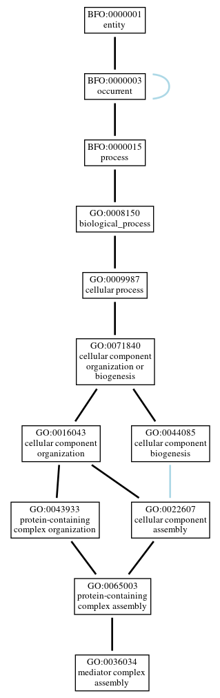Graph of GO:0036034