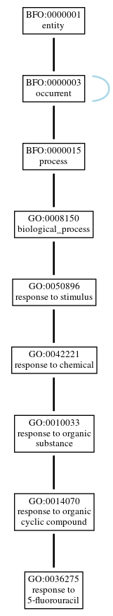 Graph of GO:0036275