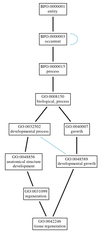 Graph of GO:0042246