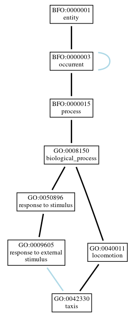 Graph of GO:0042330