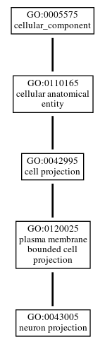 Graph of GO:0043005