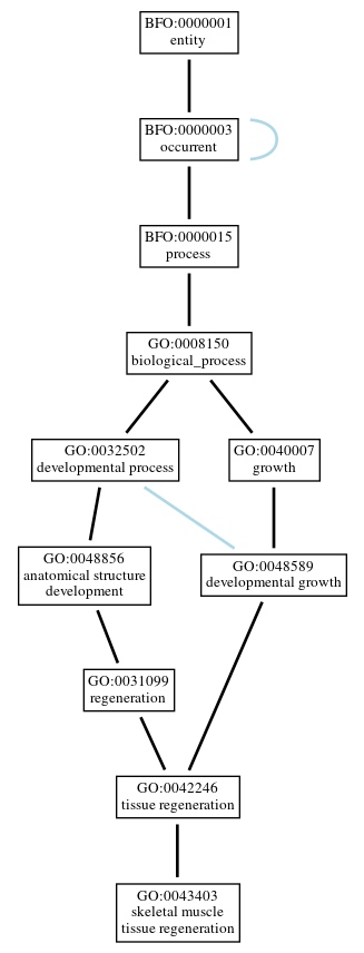 Graph of GO:0043403