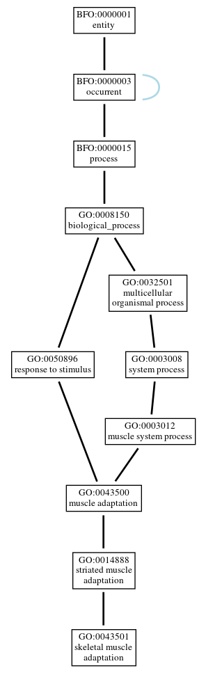 Graph of GO:0043501