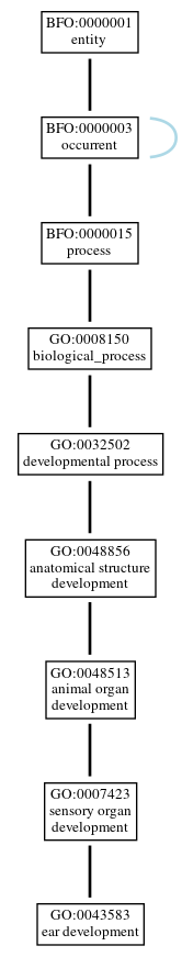 Graph of GO:0043583