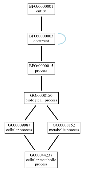 Graph of GO:0044237