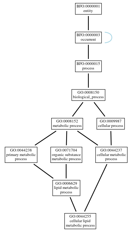 Graph of GO:0044255