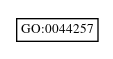 Graph of GO:0044257