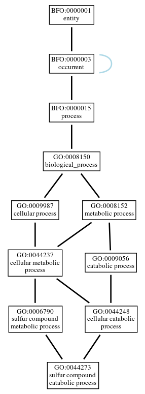 Graph of GO:0044273