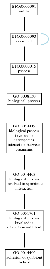 Graph of GO:0044406