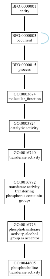 Graph of GO:0044605