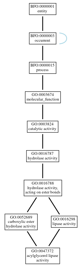 Graph of GO:0047372