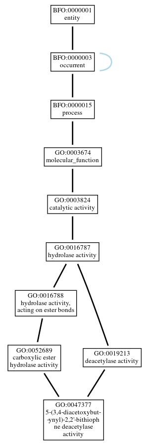 Graph of GO:0047377