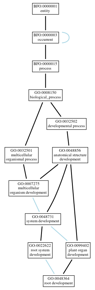 Graph of GO:0048364