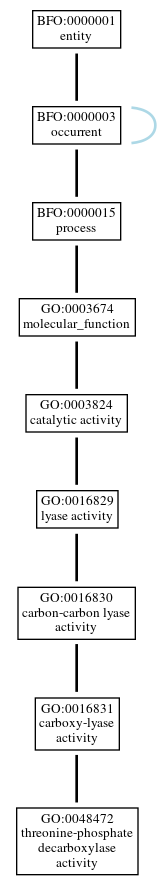 Graph of GO:0048472