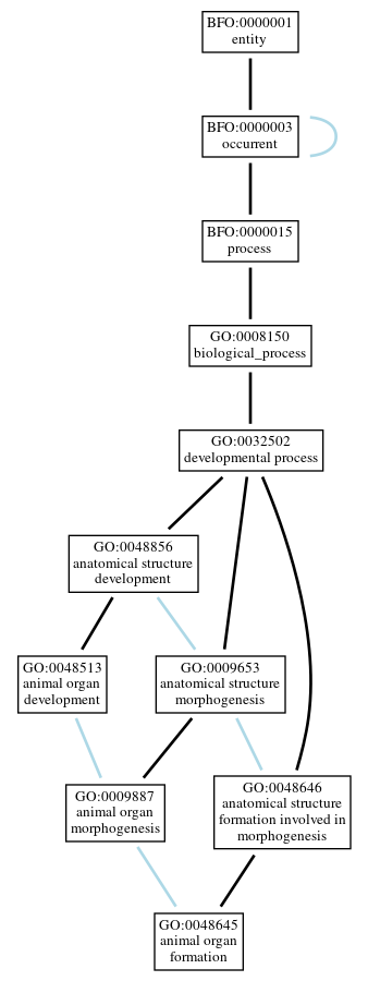 Graph of GO:0048645