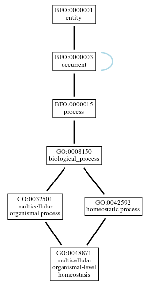 Graph of GO:0048871