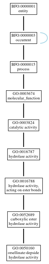 Graph of GO:0050160