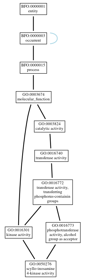 Graph of GO:0050276