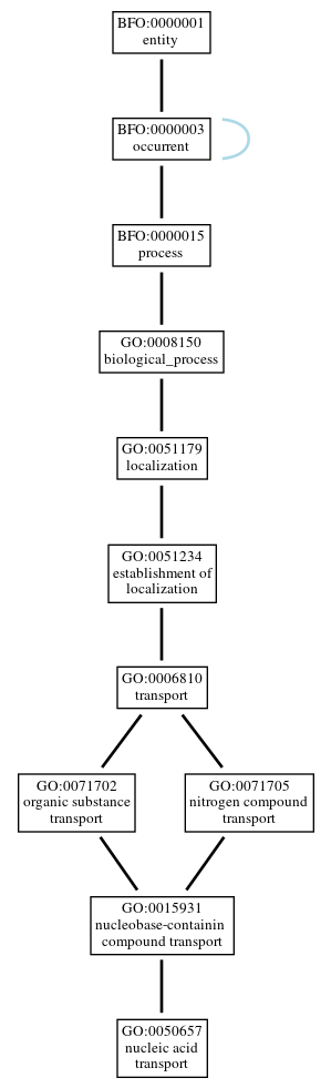 Graph of GO:0050657
