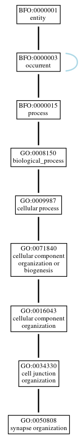 Graph of GO:0050808