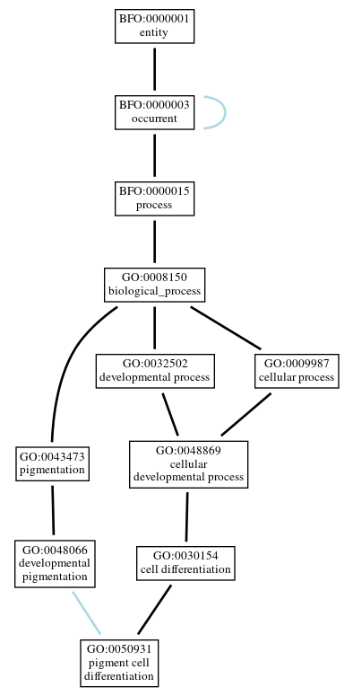 Graph of GO:0050931