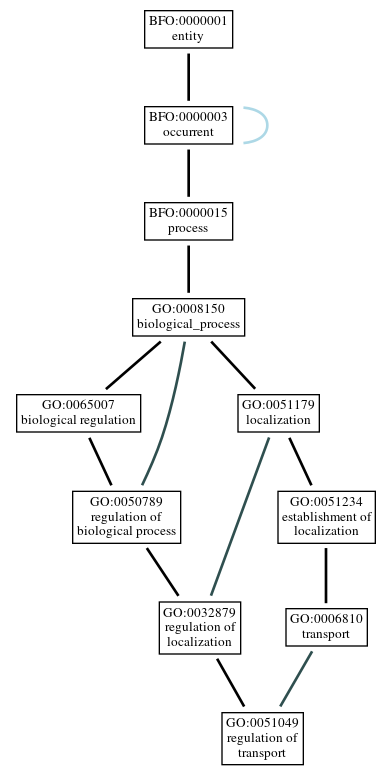 Graph of GO:0051049