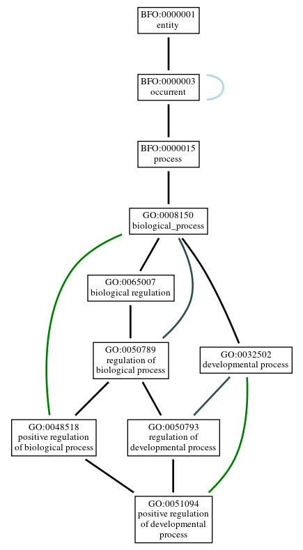 Graph of GO:0051094
