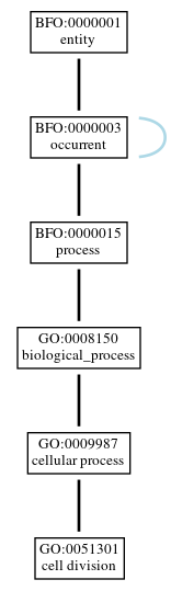 Graph of GO:0051301