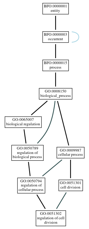 Graph of GO:0051302