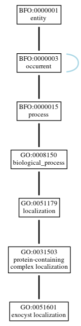 Graph of GO:0051601