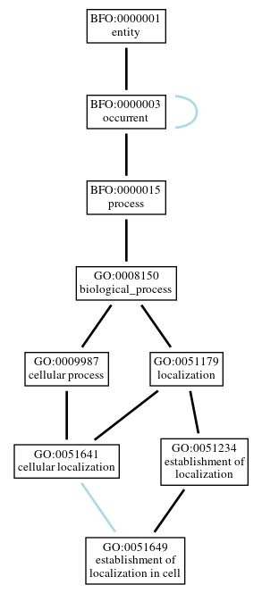 Graph of GO:0051649